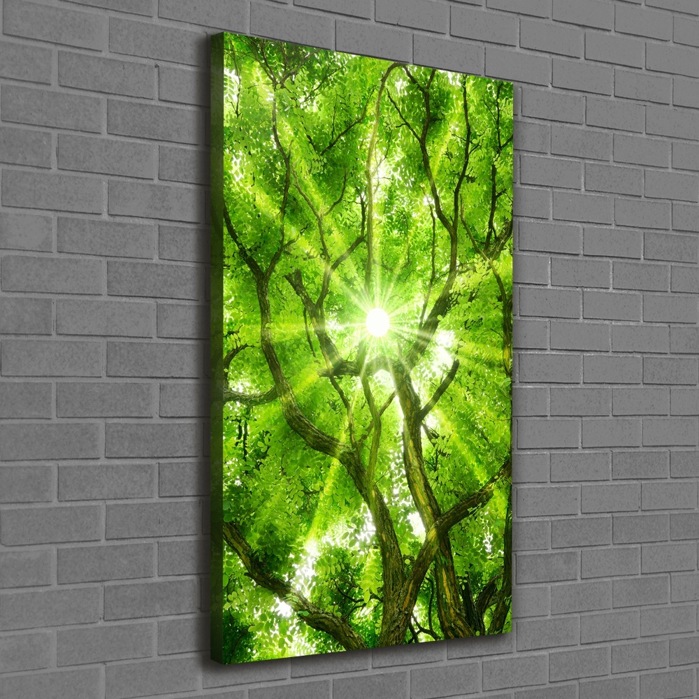 Foto obraz canvas pionowy Korona drzew