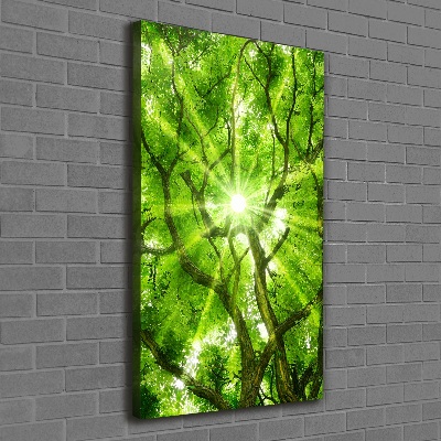 Foto obraz canvas pionowy Korona drzew