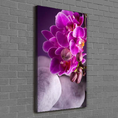 Foto obraz na płótnie pionowy Różowa orchidea