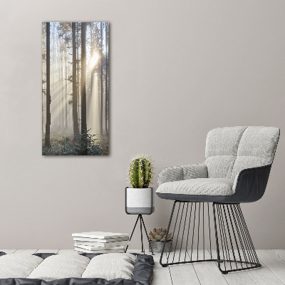 Foto obraz canvas pionowy Mgła w lesie