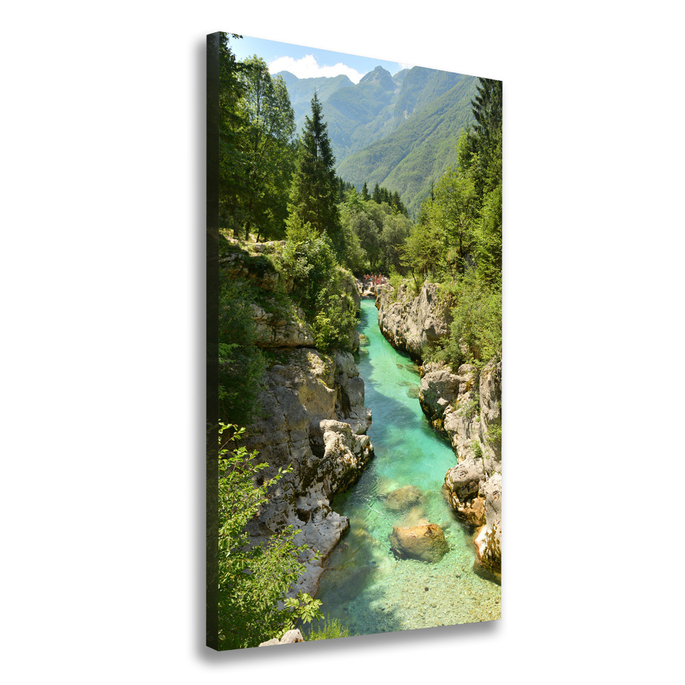 Foto obraz canvas pionowy Potok górski