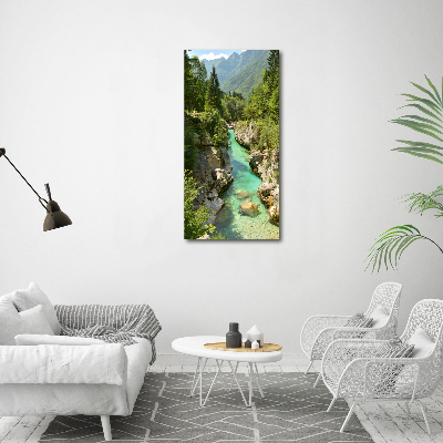Foto obraz canvas pionowy Potok górski