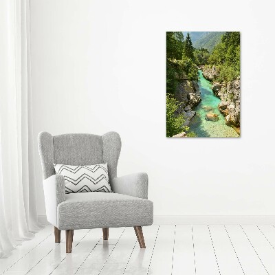 Foto obraz canvas pionowy Potok górski