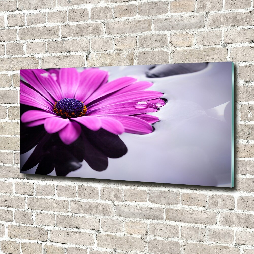 Fotoobraz na ścianę szkło hartowane Gerbera
