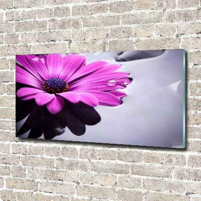 Fotoobraz na ścianę szkło hartowane Gerbera