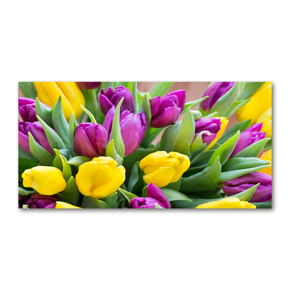 Foto obraz szklany Kolorowe tulipany