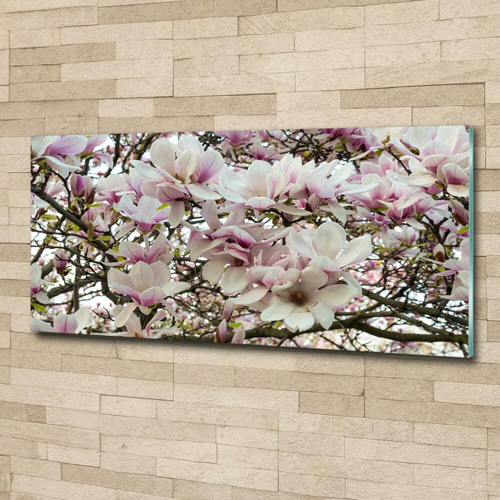 Fotoobraz na ścianę szklany Kwiaty magnolii