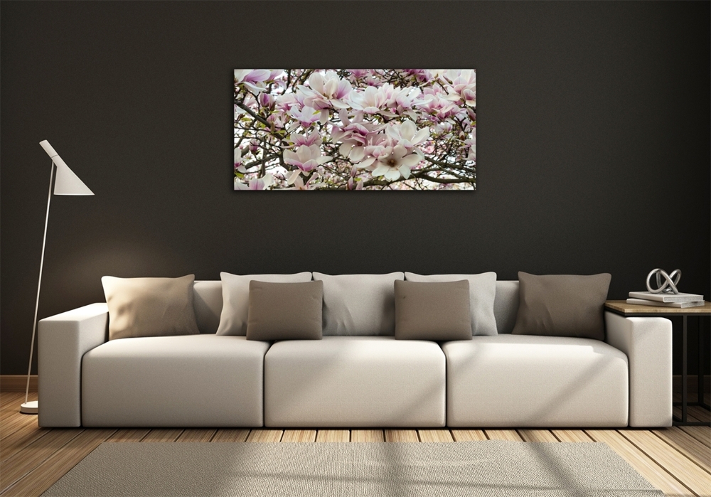 Fotoobraz na ścianę szklany Kwiaty magnolii