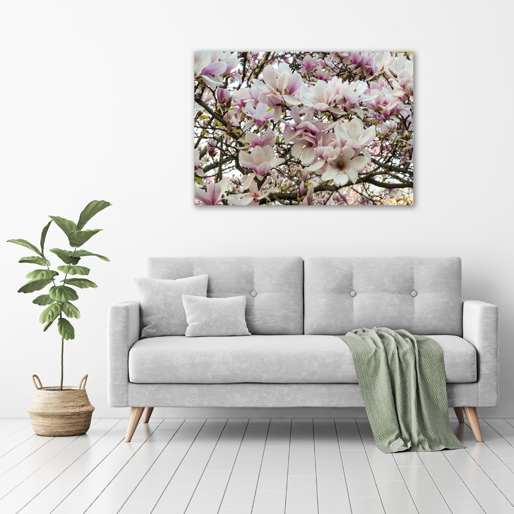 Fotoobraz na ścianę szklany Kwiaty magnolii