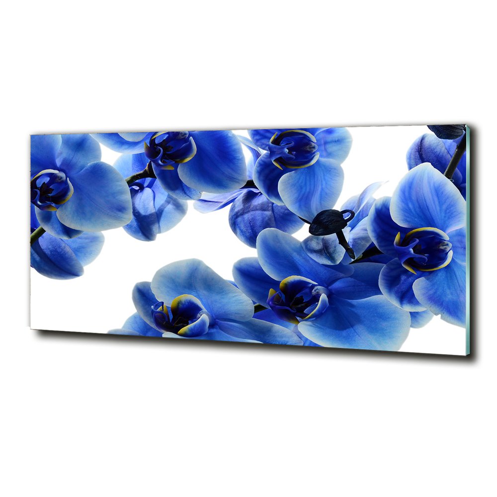 Foto obraz szklany Niebieska orchidea