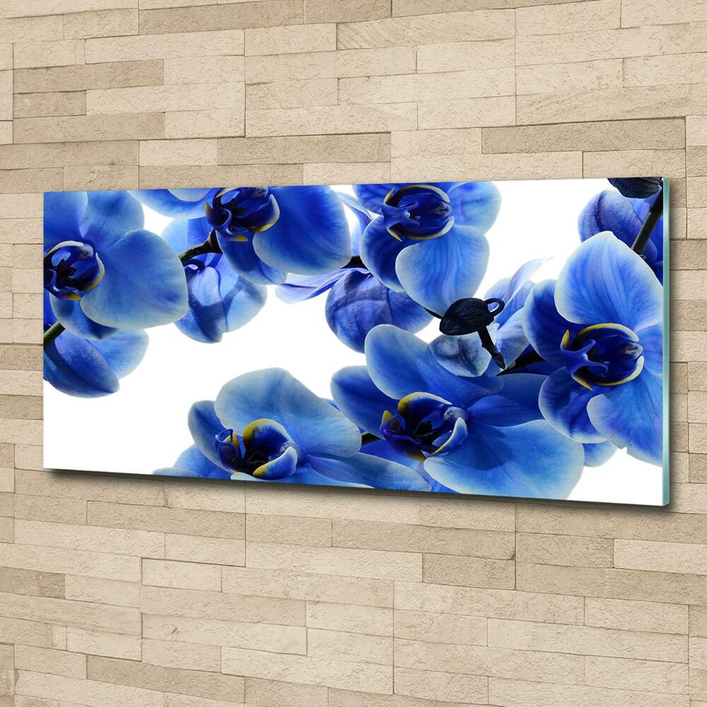 Foto obraz szklany Niebieska orchidea