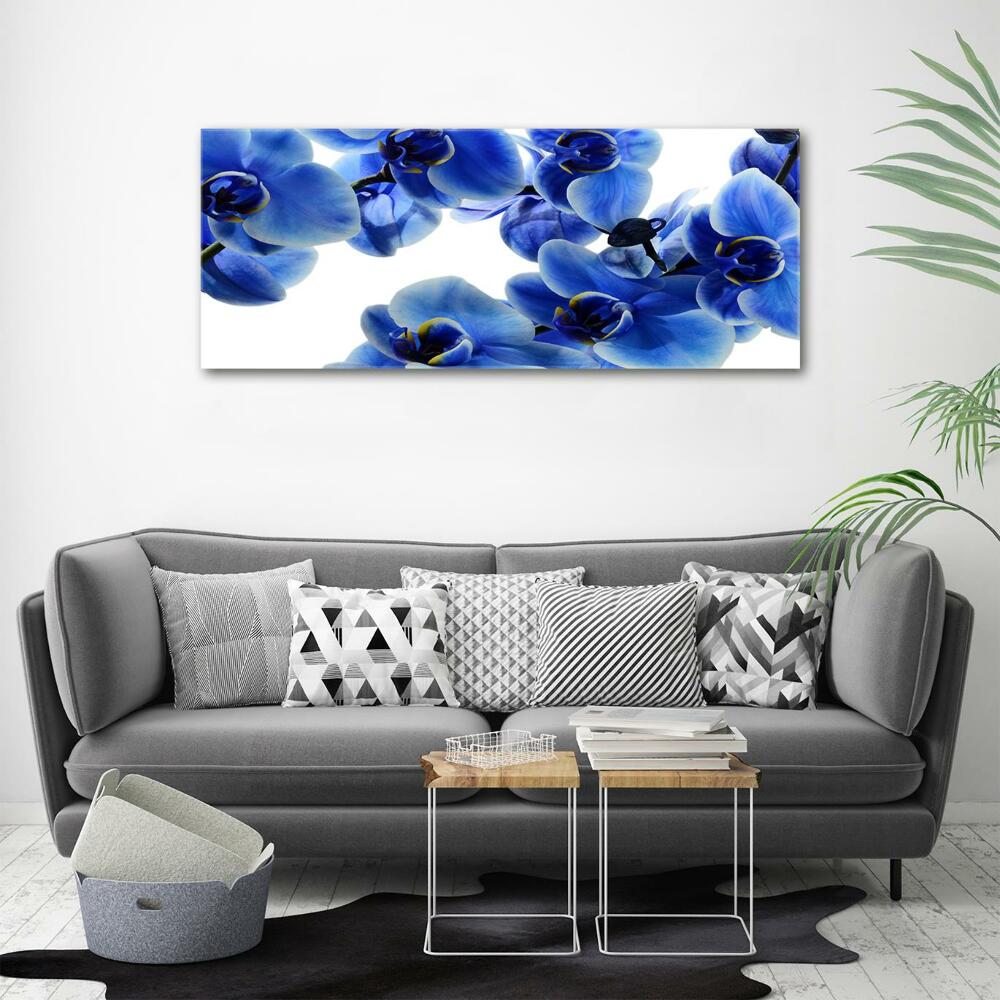 Foto obraz szklany Niebieska orchidea