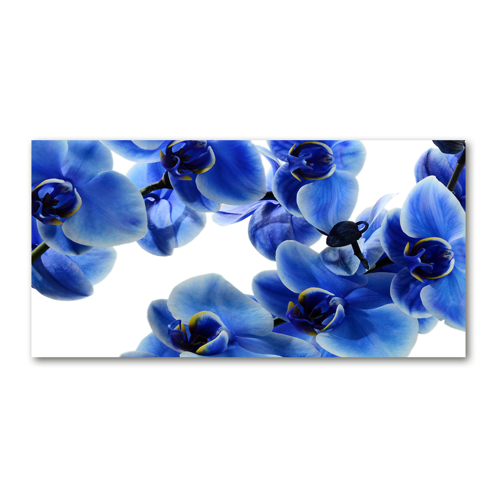 Foto obraz szklany Niebieska orchidea