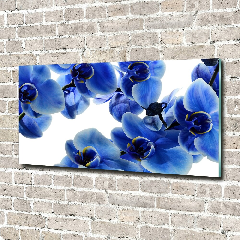 Foto obraz szklany Niebieska orchidea