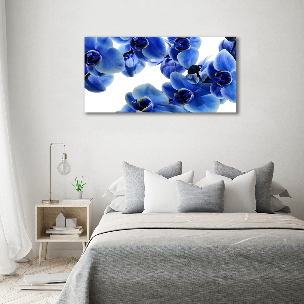 Foto obraz szklany Niebieska orchidea
