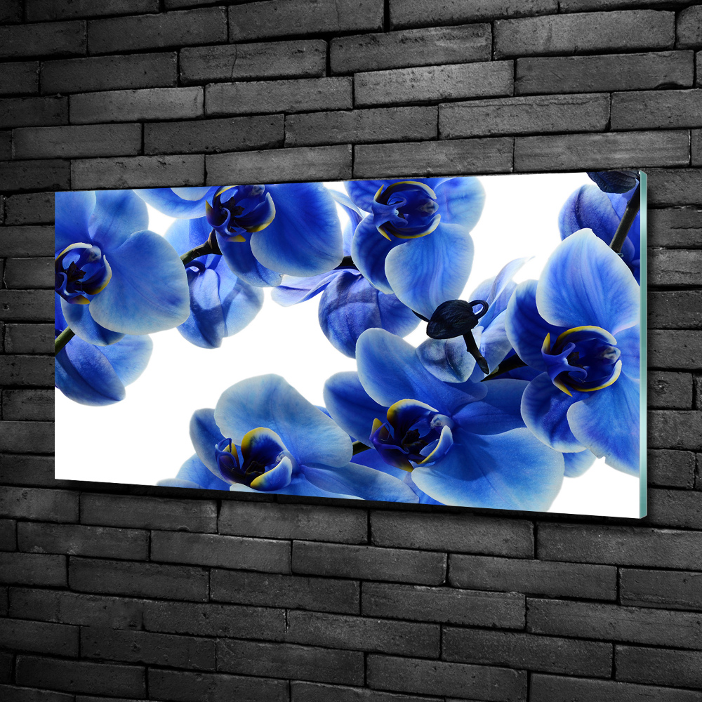 Foto obraz szklany Niebieska orchidea