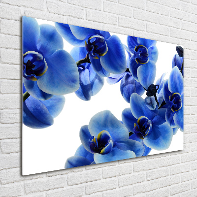 Foto obraz szklany Niebieska orchidea