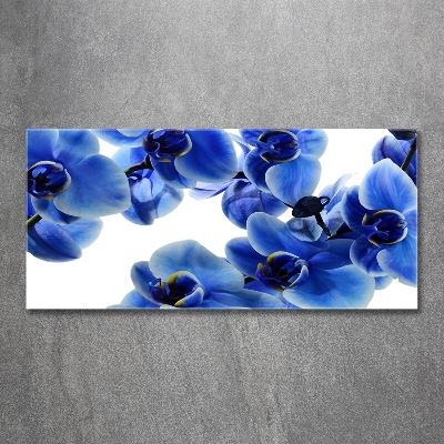 Foto obraz szklany Niebieska orchidea