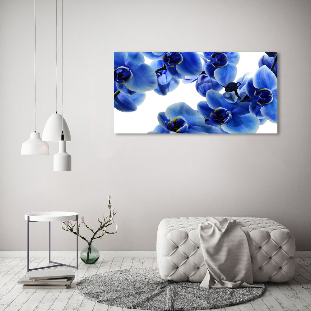 Foto obraz szklany Niebieska orchidea