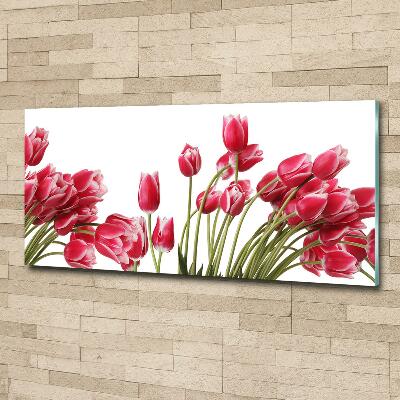 Foto obraz szklany Czerwone tulipany