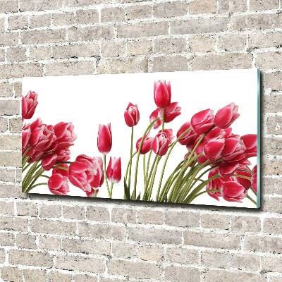Foto obraz szklany Czerwone tulipany