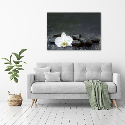 Foto obraz szkło hartowane Orchidea