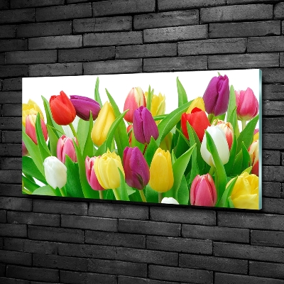 Foto obraz szklany Kolorowe tulipany
