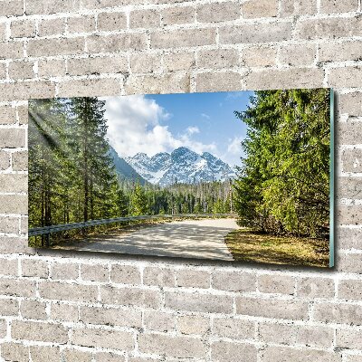 Foto obraz szkło hartowane Droga Tatry