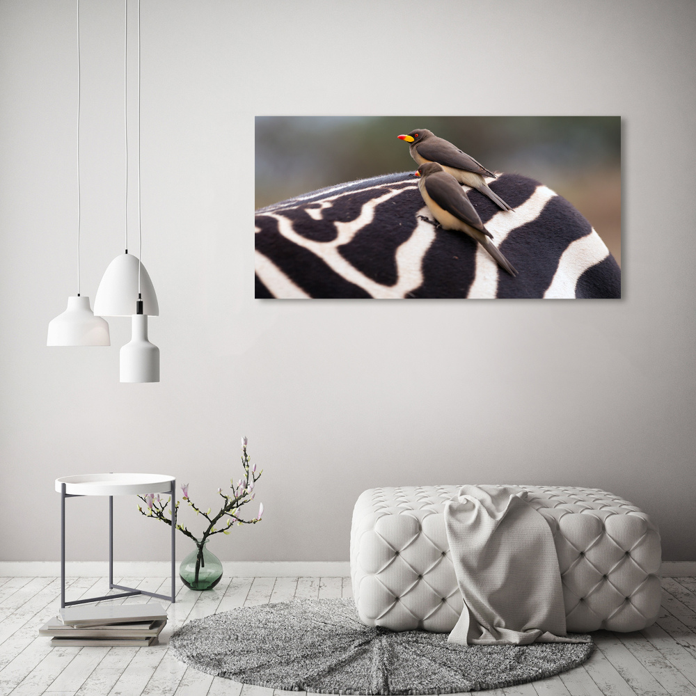 Foto-obraz szkło hartowane Ptaki i zebra