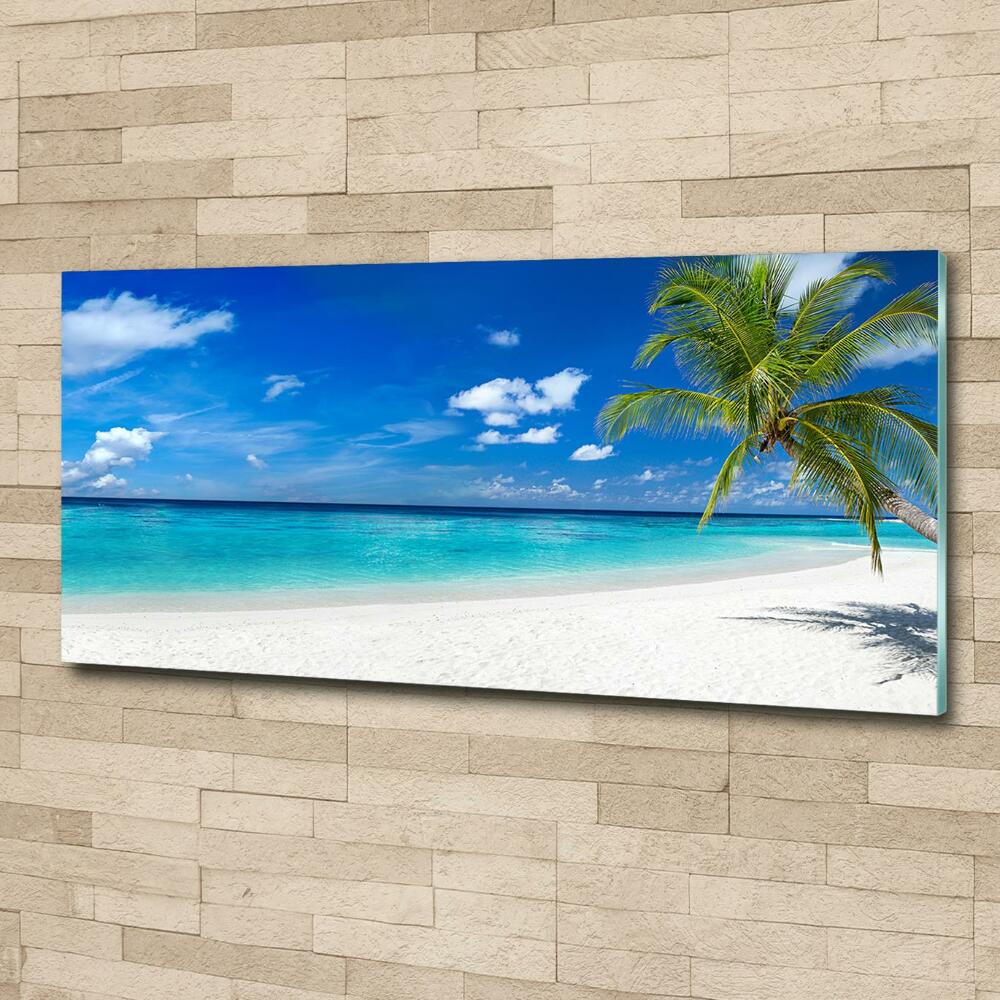 Foto obraz szklany Tropikalna plaża