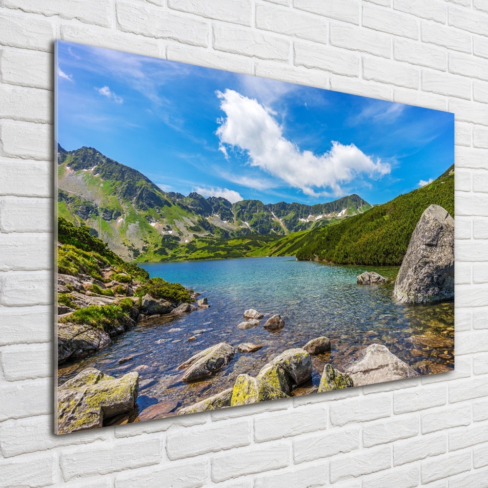 Foto obraz szkło hartowane Dolina Tatry