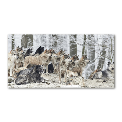 Foto-obraz szkło hartowane Wilki zimą