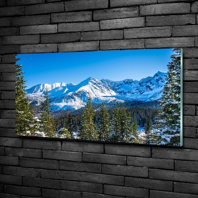 Foto obraz szkło hartowane Panorama Tatr