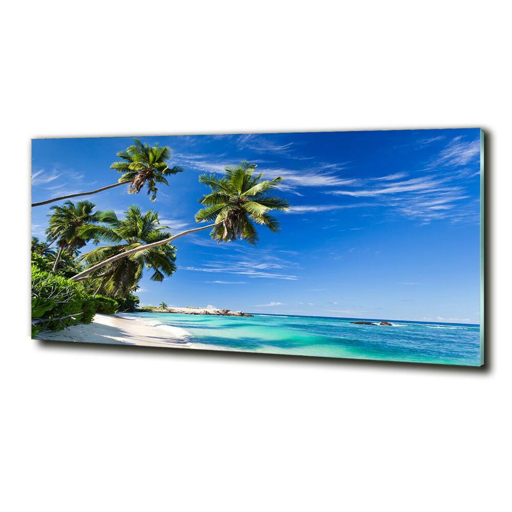 Foto obraz szklany Tropikalna plaża