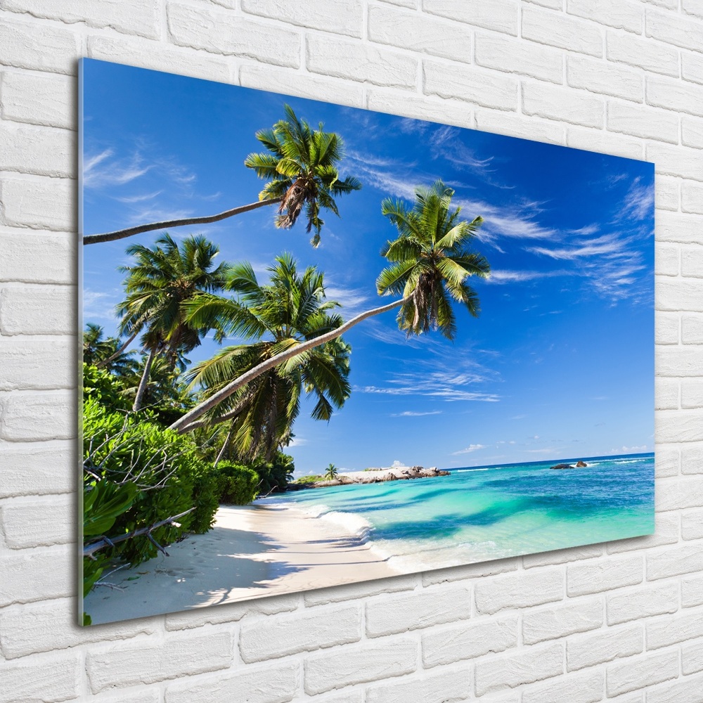 Foto obraz szklany Tropikalna plaża