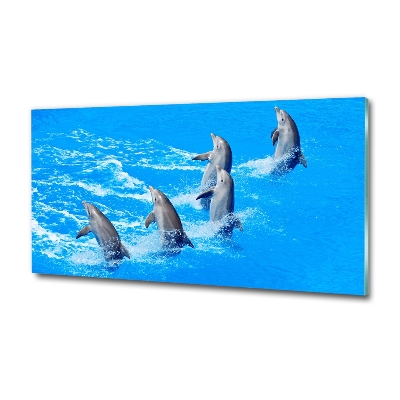 Fotoobraz na ścianę szkło hartowane Delfiny