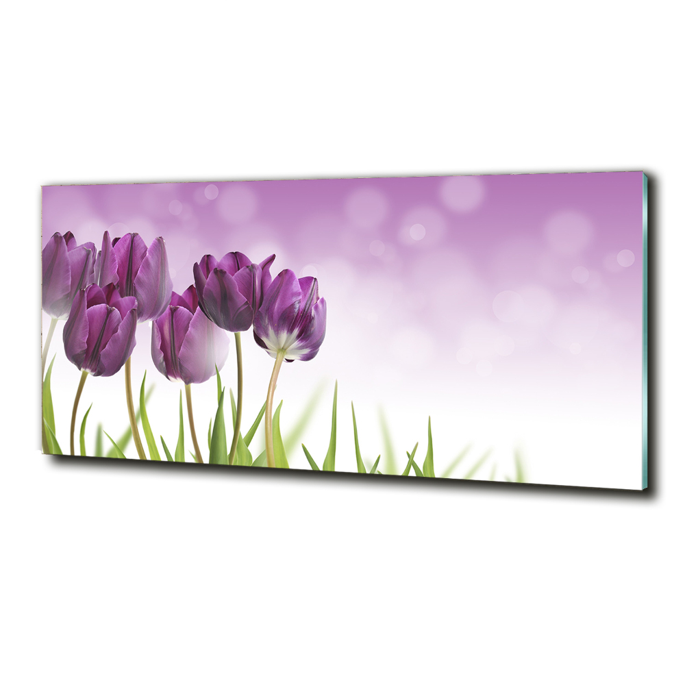 Foto obraz szklany Filetowe tulipany