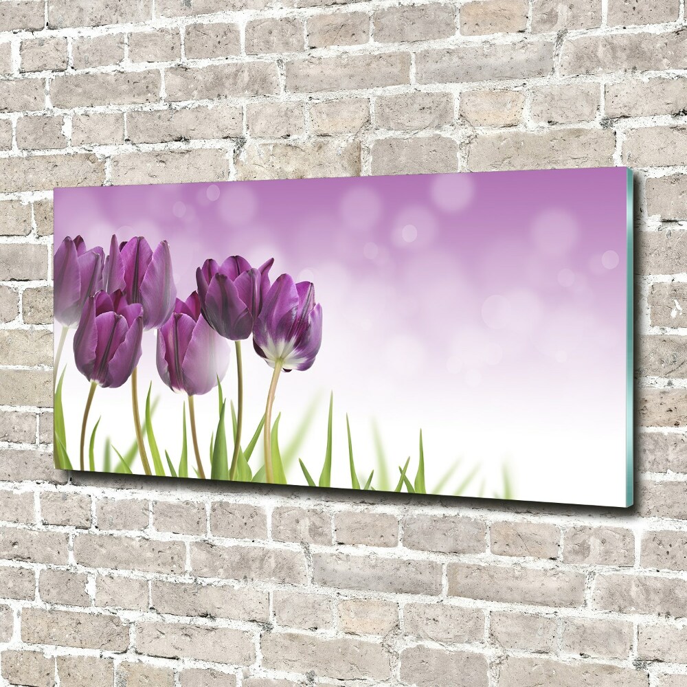 Foto obraz szklany Filetowe tulipany