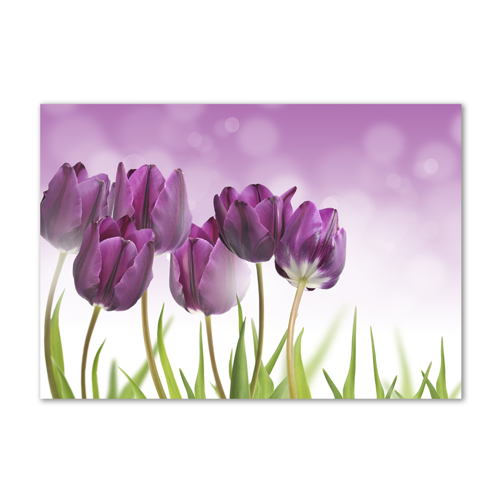 Foto obraz szklany Filetowe tulipany