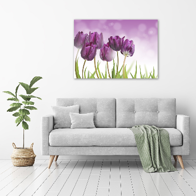 Foto obraz szklany Filetowe tulipany
