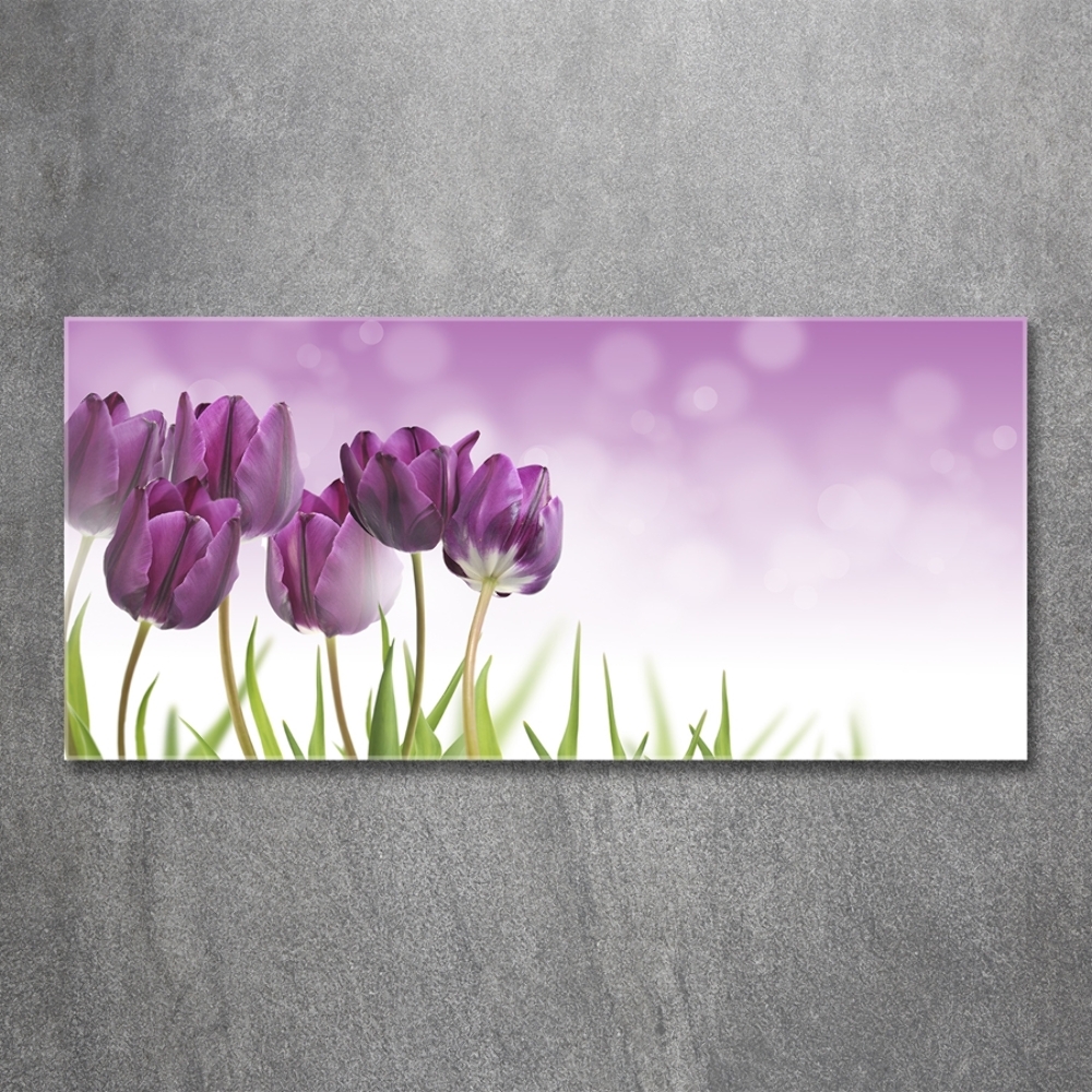 Foto obraz szklany Filetowe tulipany