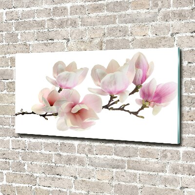 Foto obraz szkło hartowane Magnolia