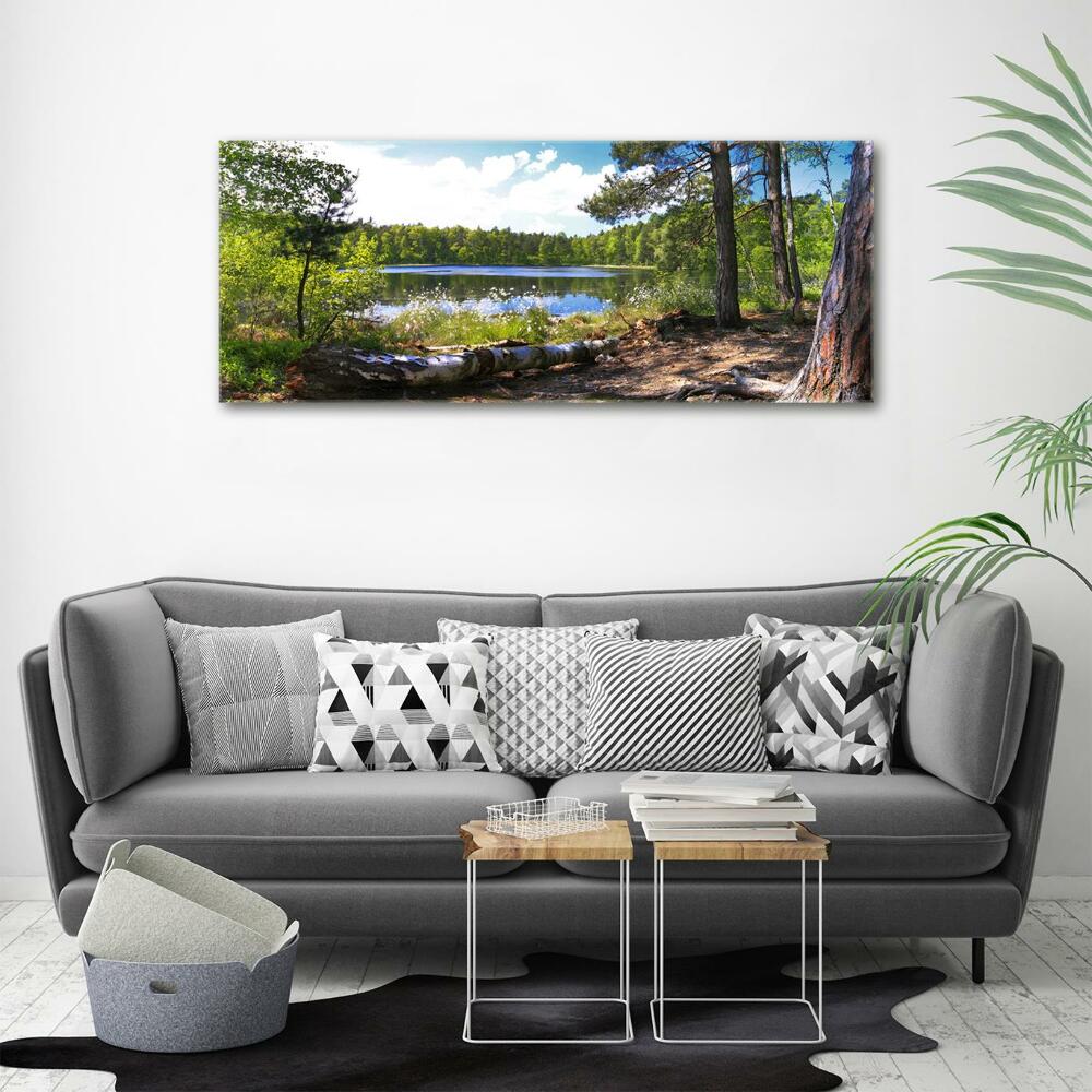 Foto obraz szkło hartowane Leśna panorama