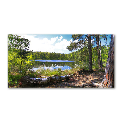 Foto obraz szkło hartowane Leśna panorama