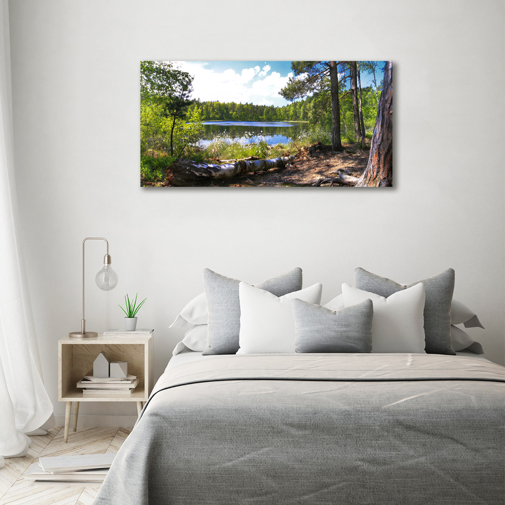 Foto obraz szkło hartowane Leśna panorama
