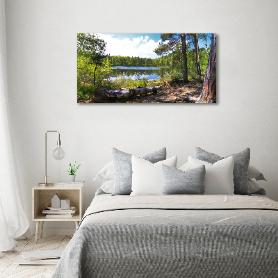 Foto obraz szkło hartowane Leśna panorama