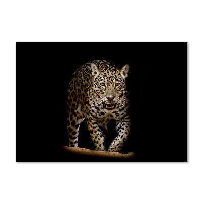 Foto-obraz zdjęcie szkło hartowane Jaguar