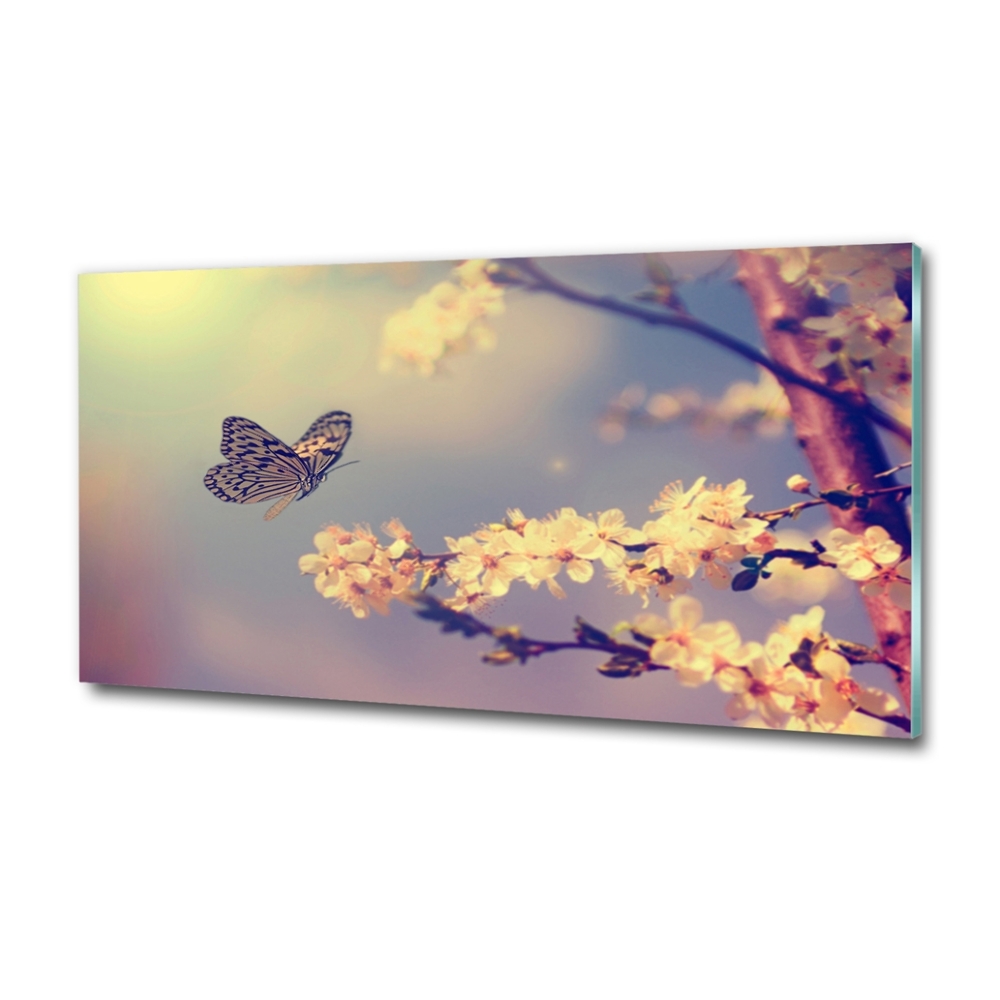 Foto obraz szklany Kwiat wiśni i motyl