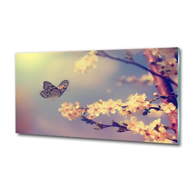 Foto obraz szklany Kwiat wiśni i motyl