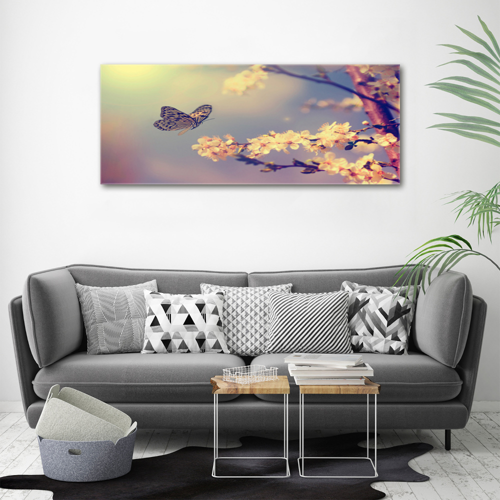 Foto obraz szklany Kwiat wiśni i motyl
